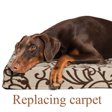 replacing-carpet